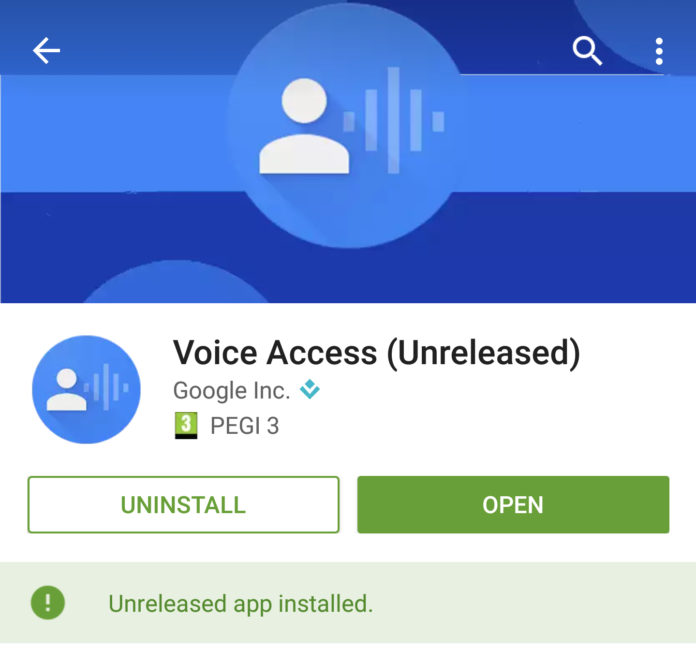 google voice activation